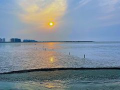 -奉贤海滩