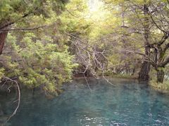 -九寨沟-树正沟