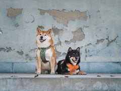 -上海月湖雕塑公园