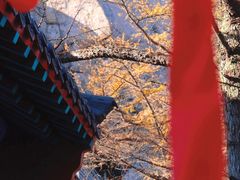 -崂山巨峰游览区