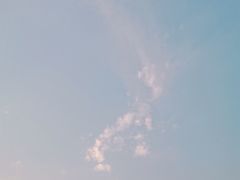 -木塔寺遗址生态公园