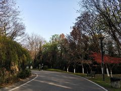 -金陵矩阵(聚宝山公园店)