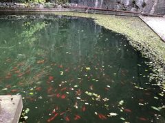 -北京上方山国家森林公园