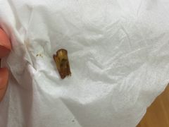 -金太粽(上海弄堂第一粽店)