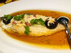 清蒸鲥鱼-涵苑私宴定制(外滩店)