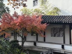 -秋霞圃