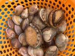 -渔家火锅·海鲜自助餐·演艺(亚龙湾天域酒店)