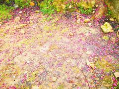 -福清灵石山国家森林公园