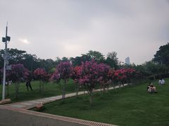 -深圳湾公园(南山区)