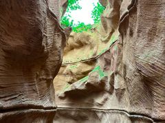 -陕西自然博物馆