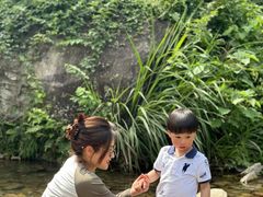 -MOJ coffee(瓯海泽雅水碓坑店)