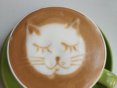 -Anne猫窝咖啡屋
