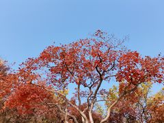 -周口店坡峰岭风景区