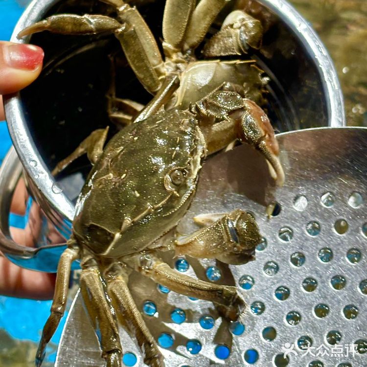 上海！！这家只会来0或者无数次！！