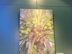 -烹然四季椰子鸡火锅(姚家园万象汇店)