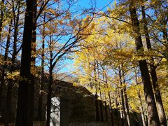 -阳台山自然风景区