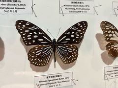 -吉林省自然博物馆