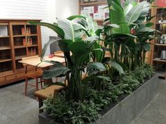 景观位-村外有星光小食铺(解放碑1089店)