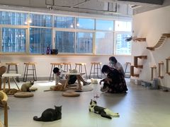 -Heymao猫咖.咖啡厅(东门店)