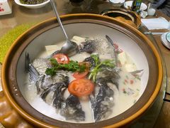 千岛湖浓汤鱼头-全乐鱼馆·淳牌有机鱼直营店