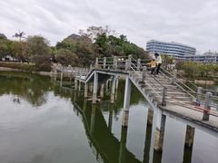 -雀儿山公园