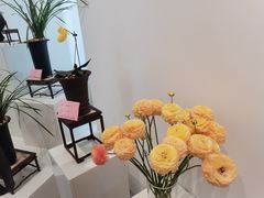 -上海植物园-4号门售票处