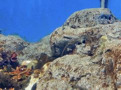 -福州罗源湾海洋世界旅游区