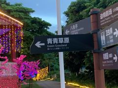 -光明农场大观园