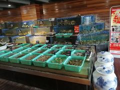 -浩运·海鲜青岛菜·海胆水饺(石老人店)