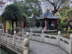 -碧江金楼