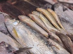 -合家小菜餐馆(新诚花苑店)