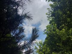 -牛背梁国家森林公园
