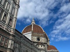 -圣母百花大教堂穹顶