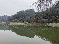 -常德桃花源景区