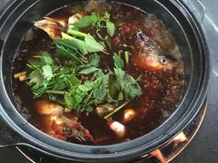 -老杨砂锅鱼庄