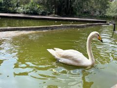 -海南热带野生动植物园
