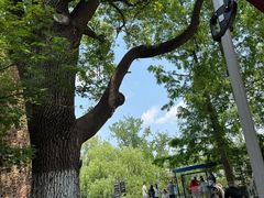 -J Create城市露营咖啡·简餐·宠物(上海动物园店)