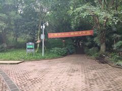 -南山植物园