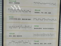 -金博智慧注意力感统训练(望京校区)