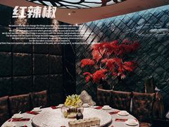 包厢-红辣椒·川菜·火锅(科华路店)