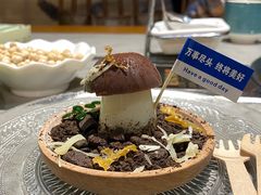 -大理董·董家小厨野生菌火锅(古城旗舰店)