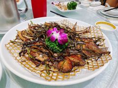 -金米箩大酒店(五角场店)