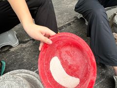 -前小桔亲子创意农场·草莓采摘·露营烧烤