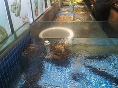 -壹只菜·崇明本地特色菜(崇明南门店)