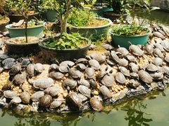 -八景休閒山莊  廣東十大名山莊