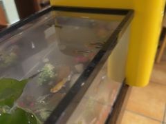 -竹雀古法采耳(青岛麦凯乐店)