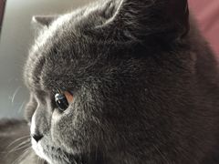 -申普宠物医院·眼科·心内科·影像科(普陀分院)