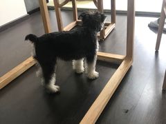 -仰生如卉推拿养生馆(酒仙桥店)