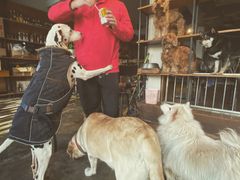 -萌喵咖啡屋(人民东路4号口M16商铺店)
