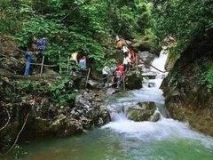 -广州市流溪河国家森林公园